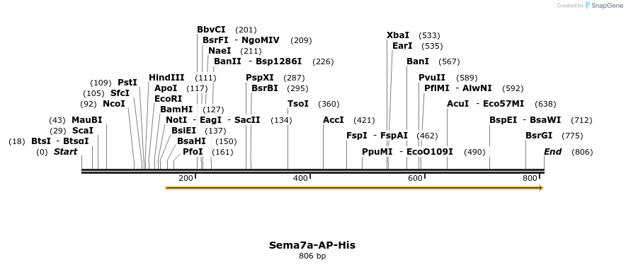 137626_map