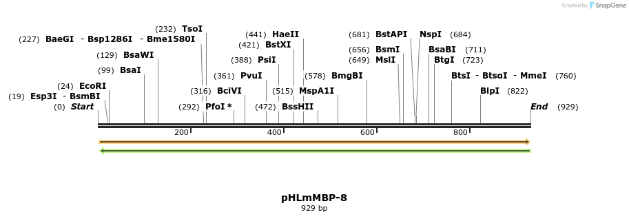 137627_map