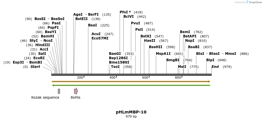 137630_map