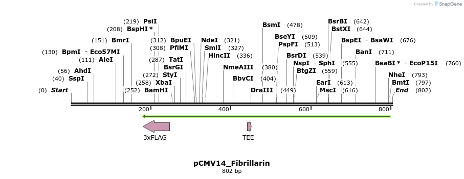 137636_map