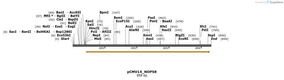 137637_map