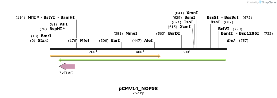 137638_map