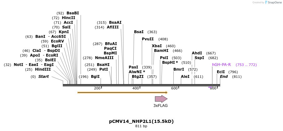 137641_map