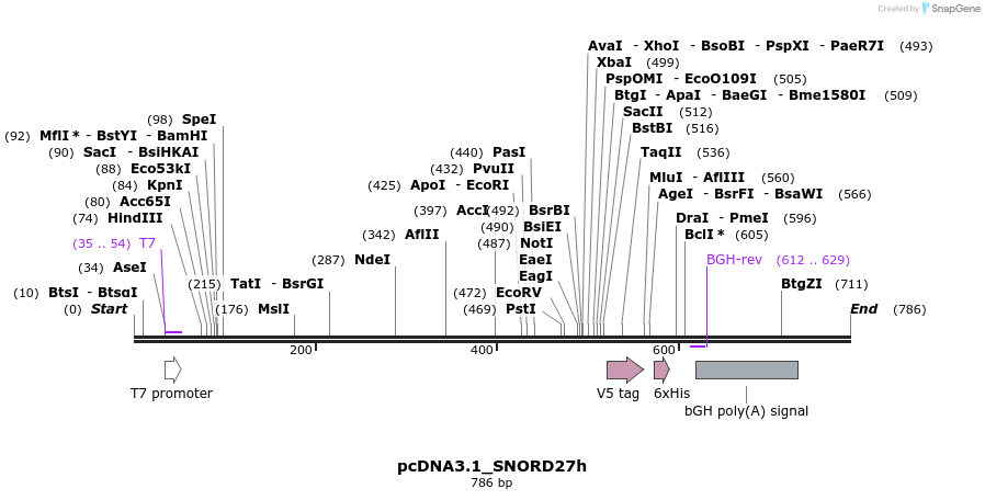 137642_map