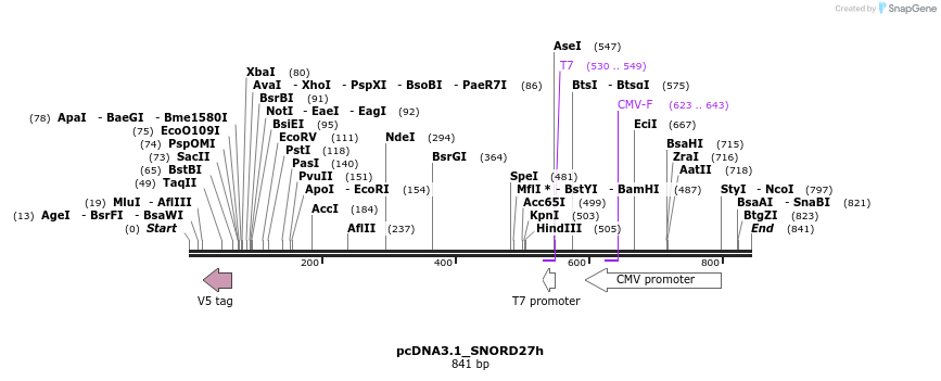 137643_map