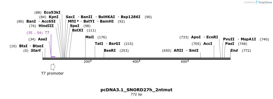 137645_map