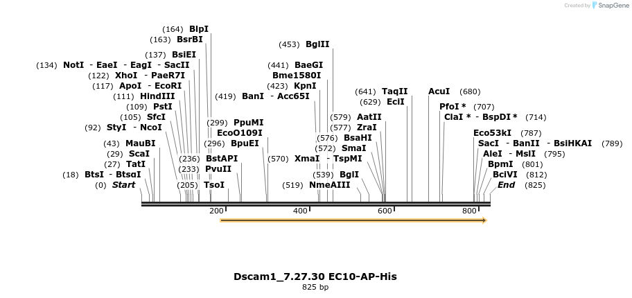 137650_map