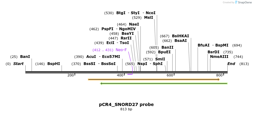 137651_map