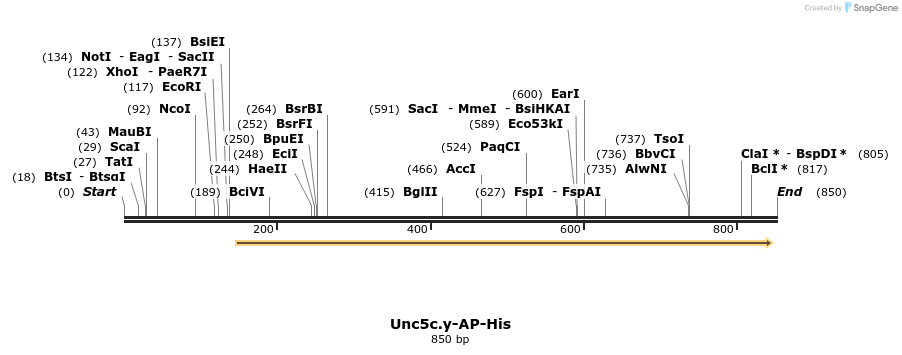 137660_map