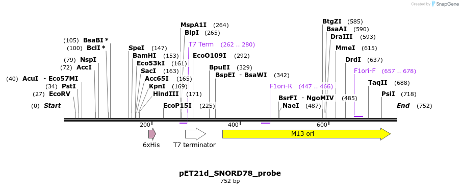 137670_map