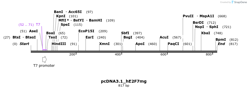 137672_map