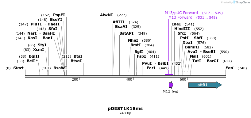137674_map