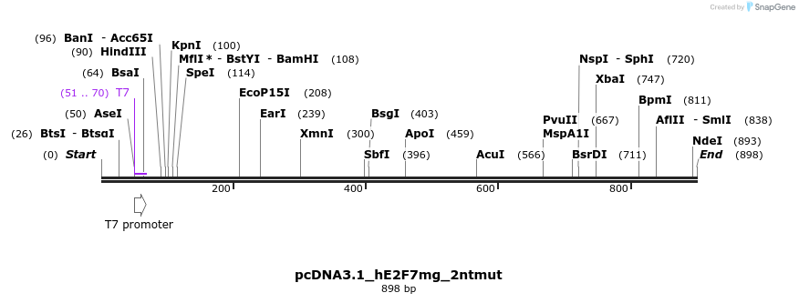 137676_map