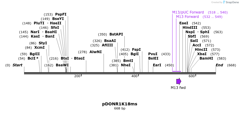 137678_map