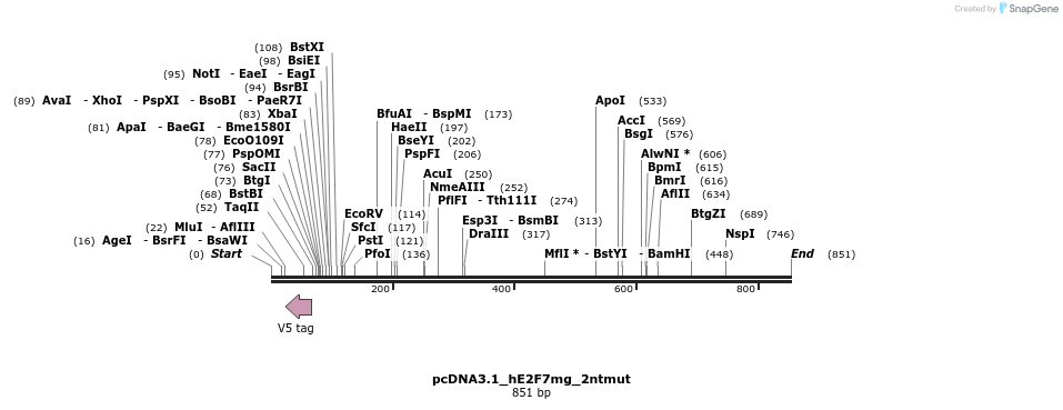 137679_map