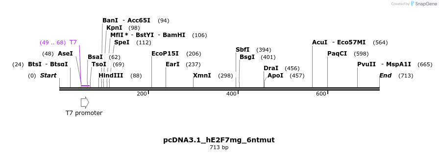 137684_map