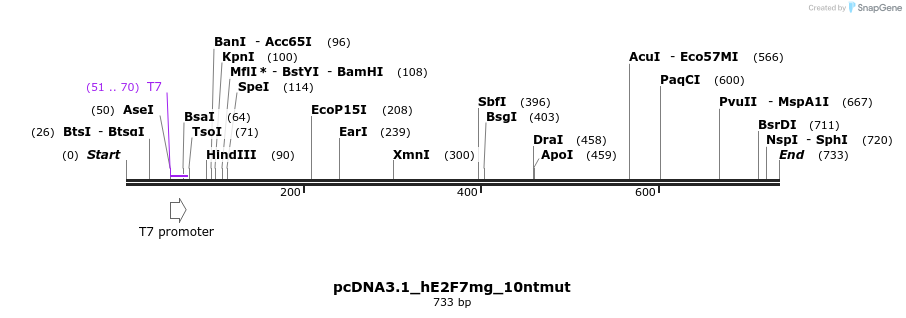 137687_map