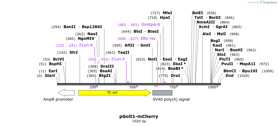 137690_map