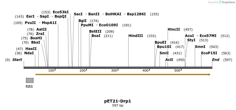 137698_map