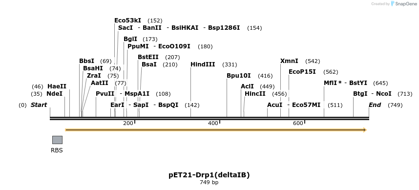 137702_map