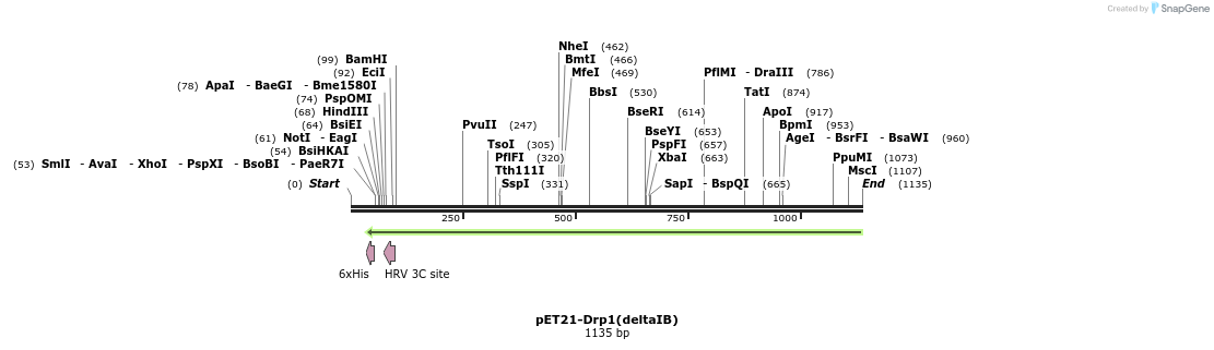 137703_map