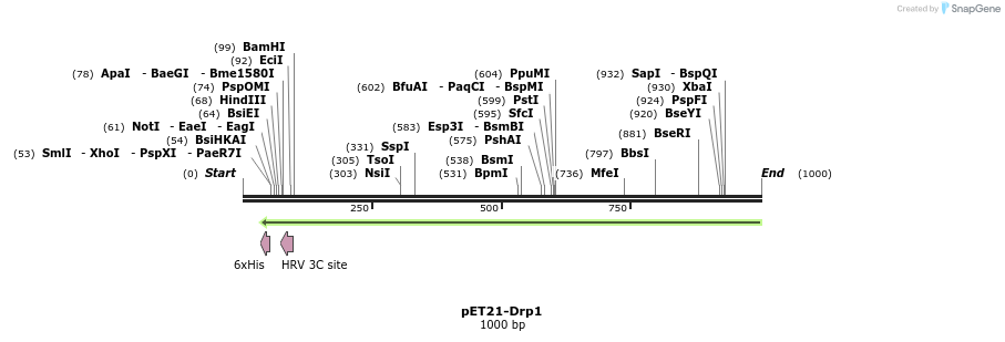 137705_map