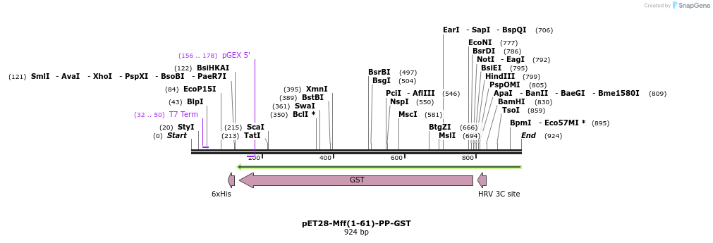 137708_map