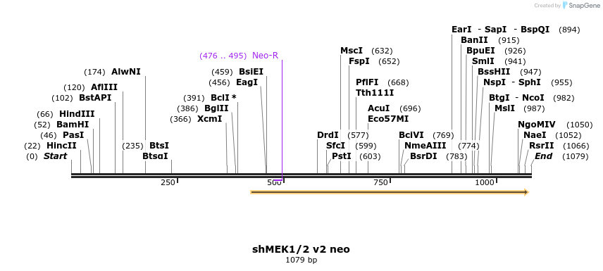 137712_map