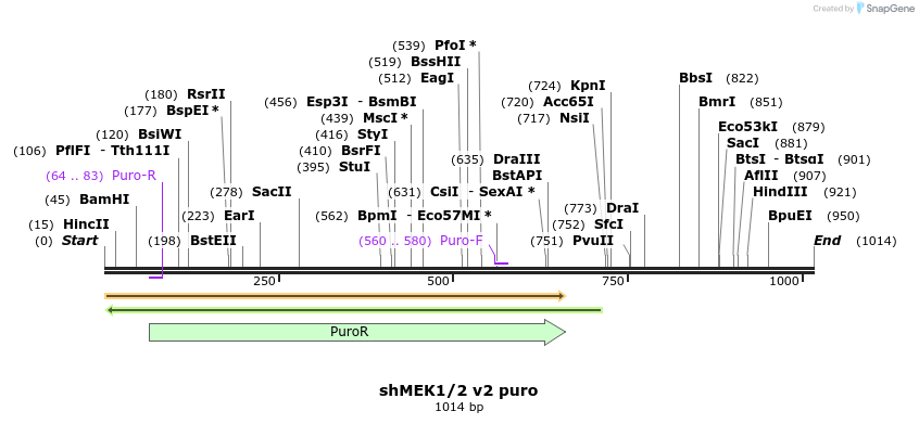 137714_map