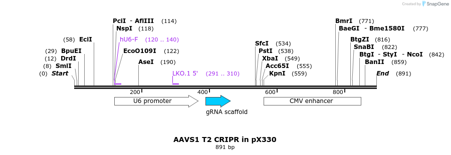 137715_map