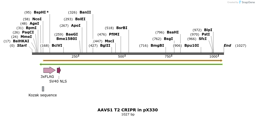 137716_map