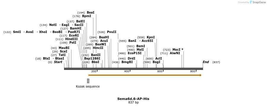 137717_map