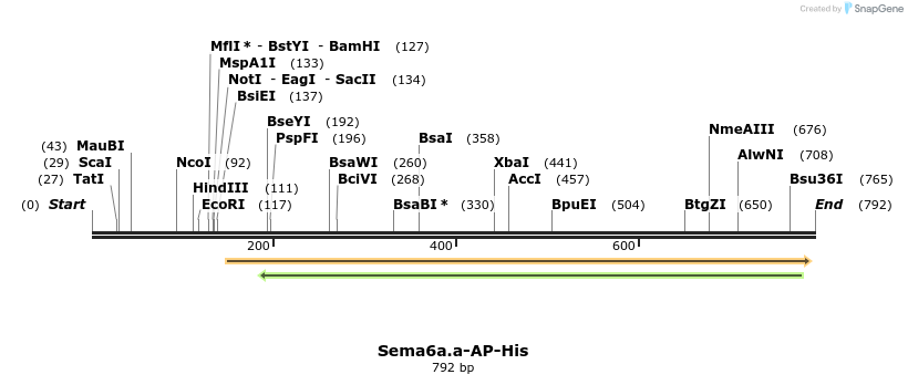 137719_map