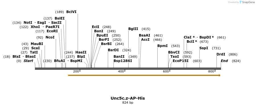 137722_map