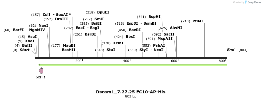 137726_map