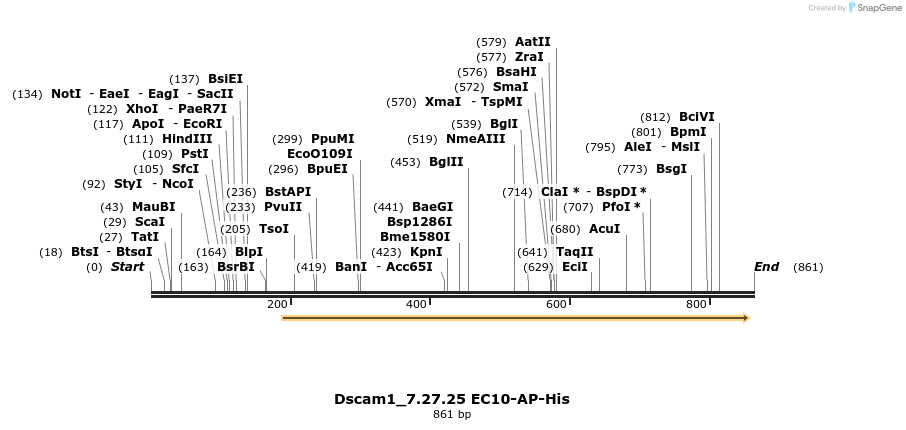 137727_map