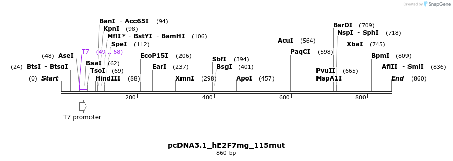 137729_map