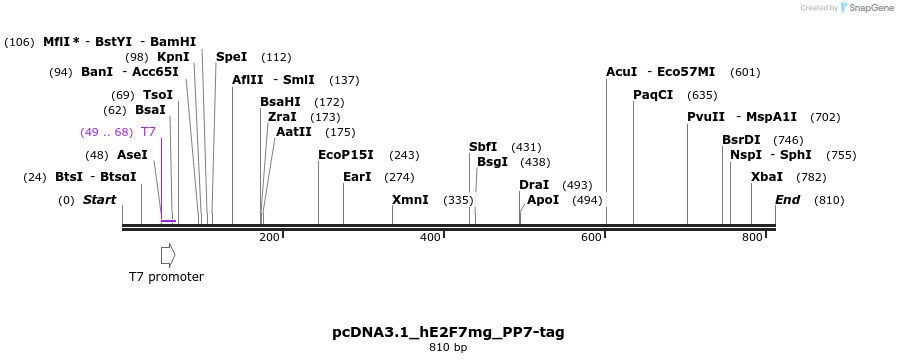 137730_map