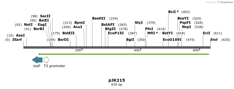 137742_map