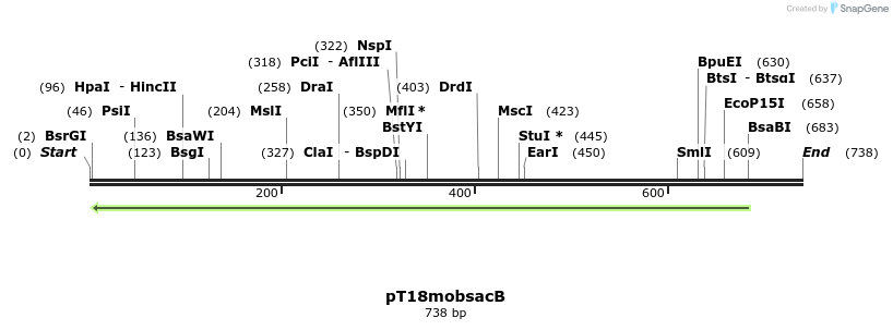 137755_map