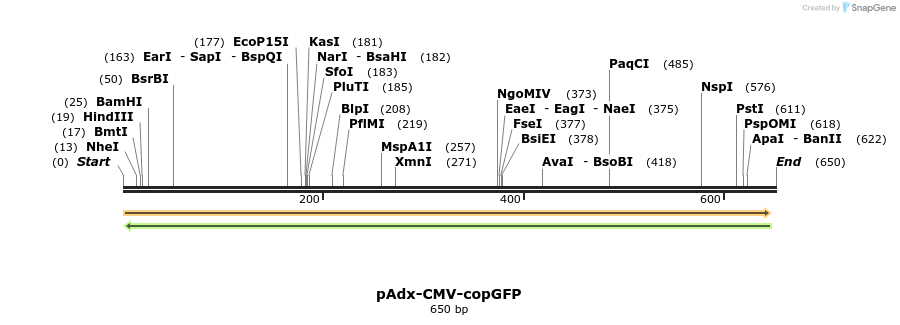137757_map