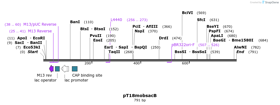 137758_map