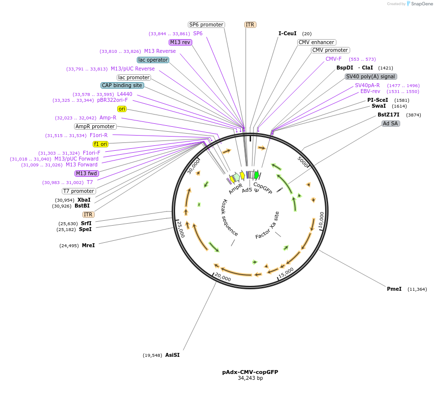 137759_map