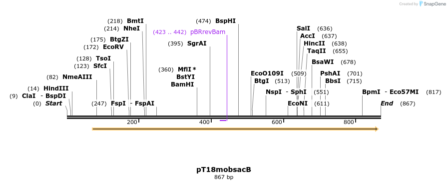 137770_map