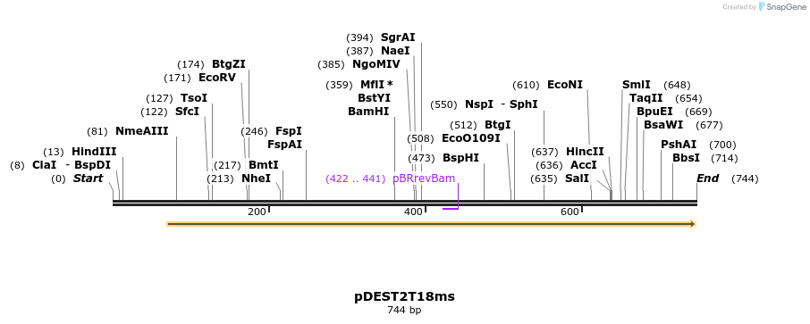 137771_map