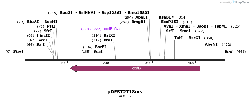 137778_map