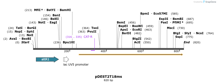 137781_map