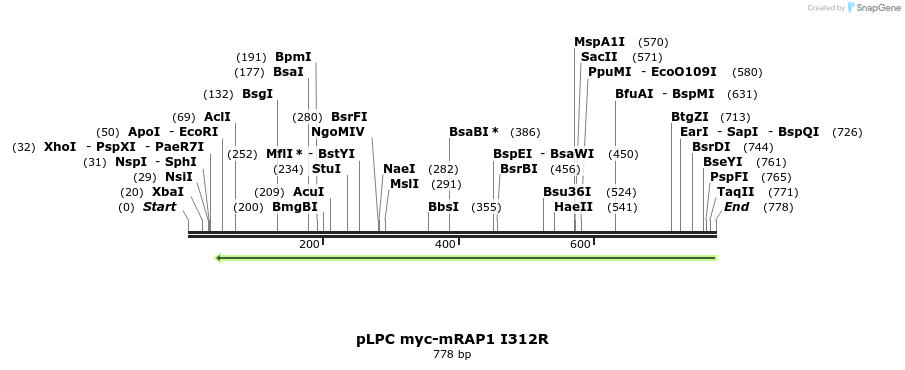 137782_map