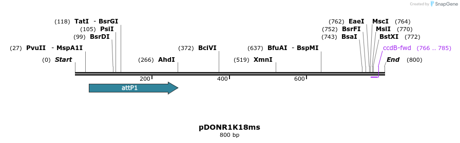 137783_map