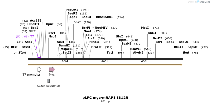 137784_map